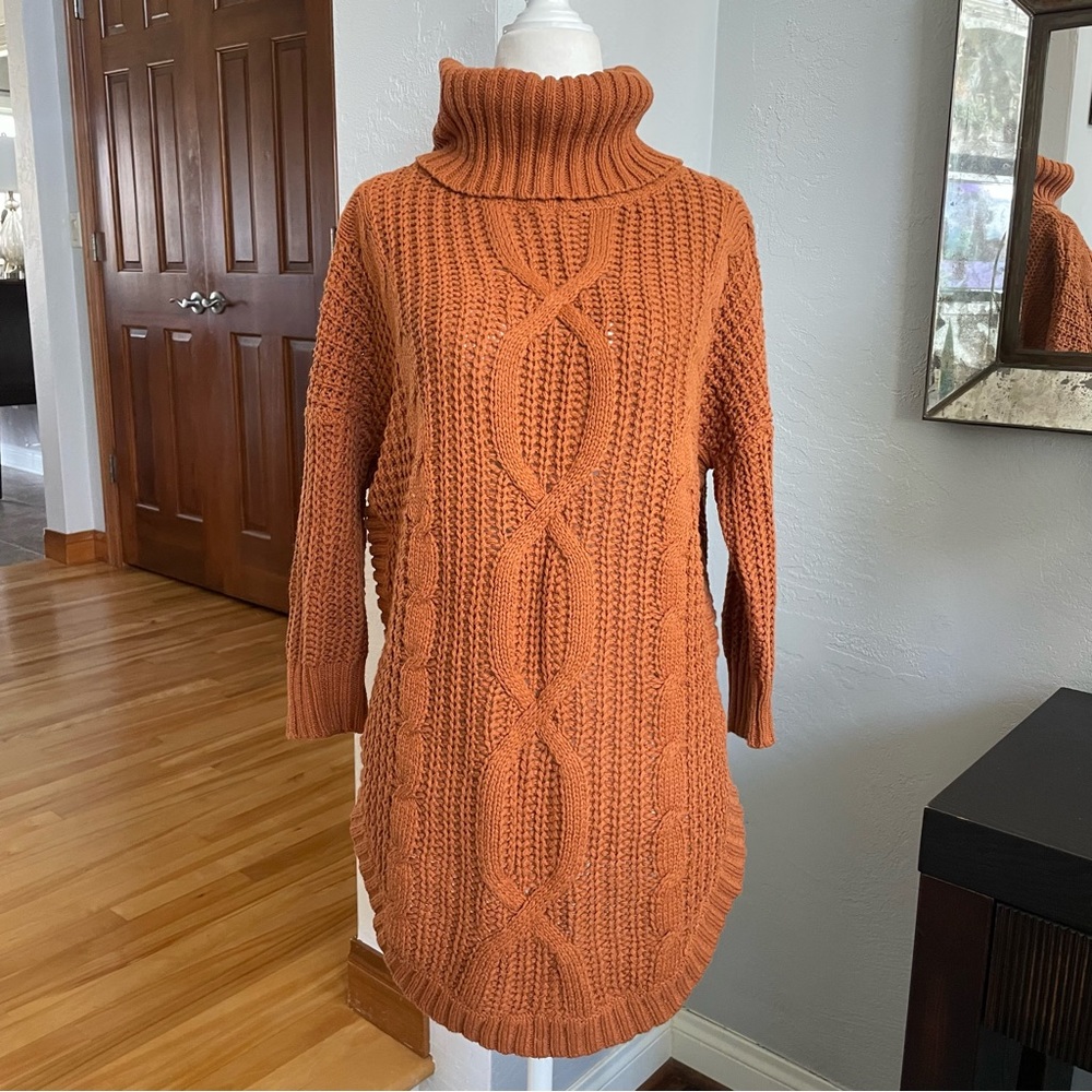 Express Turtleneck Cableknit Oversized Sweater